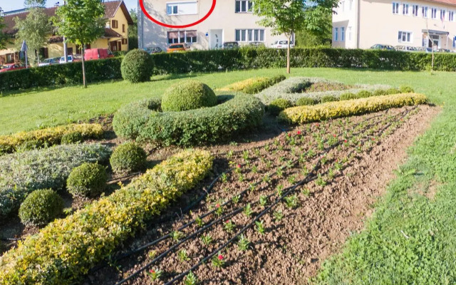 Apartman Višnja