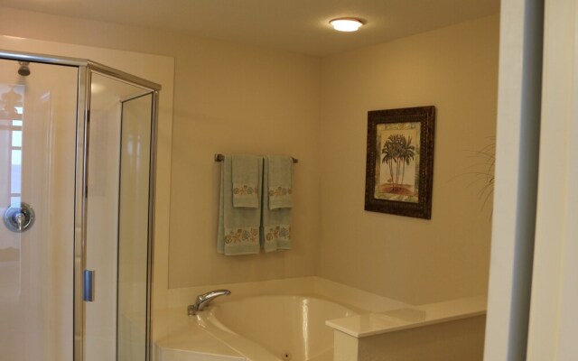 Emerald Dolphin by Surfside VR