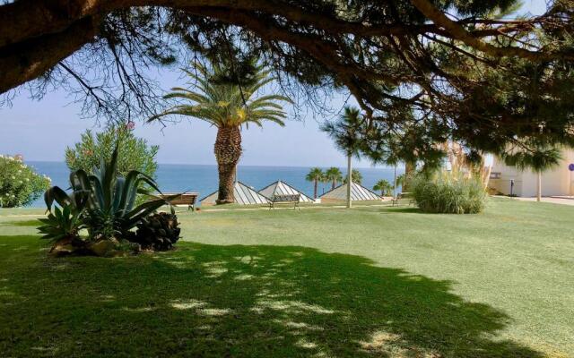 D. Ana Beach Studio