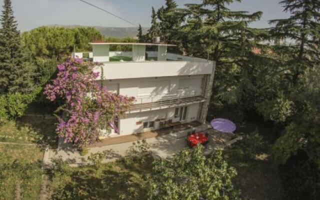 Apartment Pinus