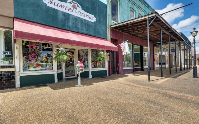 Spacious Retreat, 2 Miles to Tuskegee University