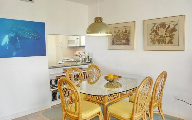 Sands of Marco C-502