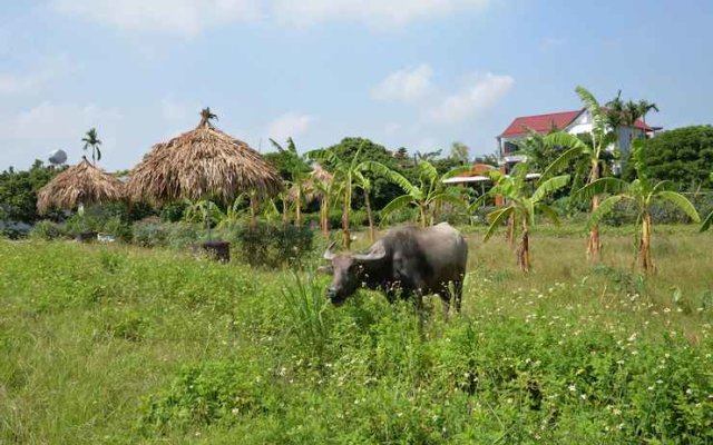 Viet Farm Homestay