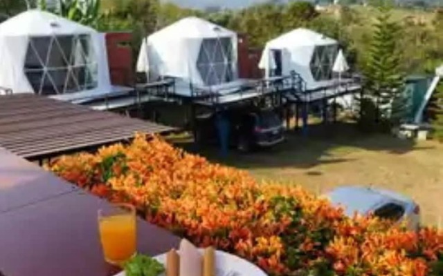 Yellowstone Cheewa View