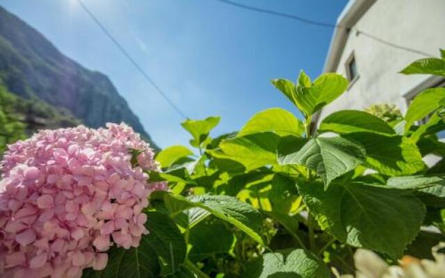 Farm Stay Ferjančič