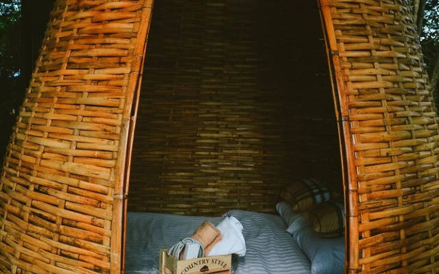 Elephant Jungle Sanctuary