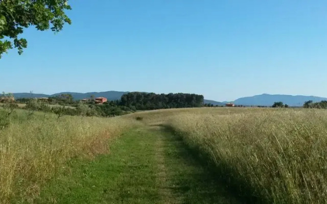 Pelagone