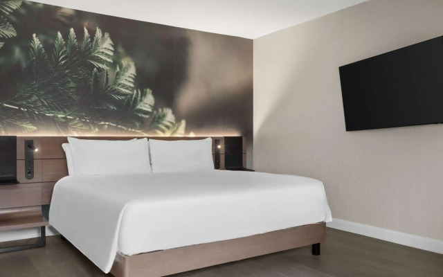 Novotel Toronto Centre