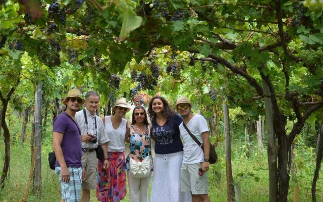 Sorrentino Vini Country House