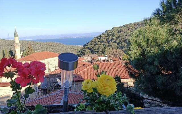 Sardunya Konak
