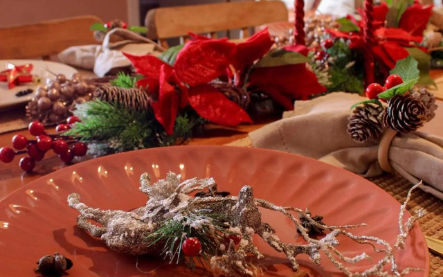 Axé home - Apartamento conceito em Salvador