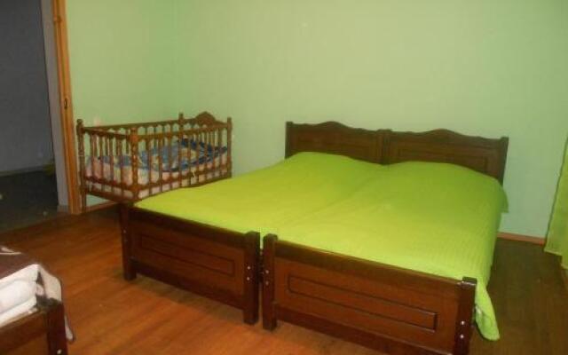 Borjomi Makvala's Guest House
