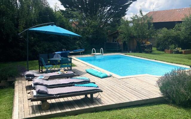 Un petit nid dans la verdure