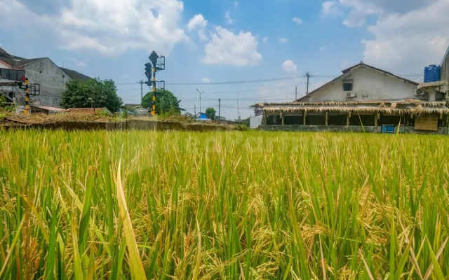 Anane Malioboro Homestay RedPartner