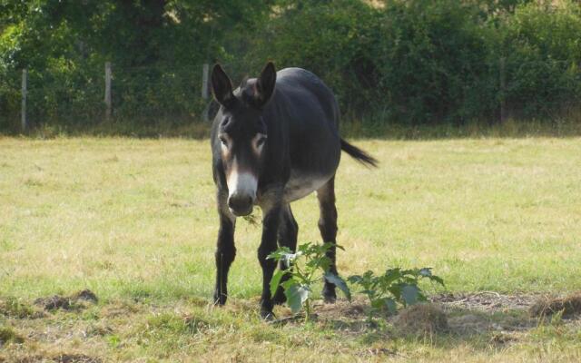 Gîte Bouesse, 7 pièces, 14 personnes - FR-1-591-9