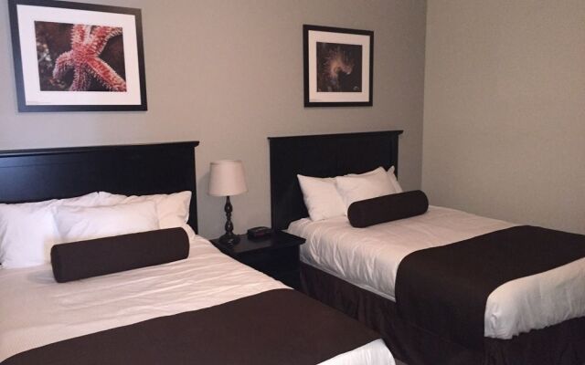 McNeills Inn on the Harbour Front