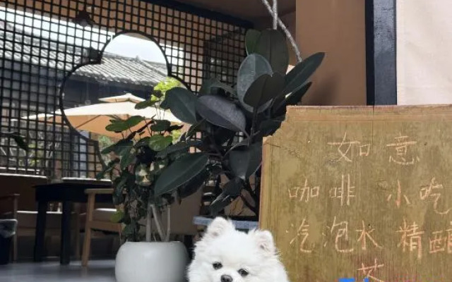 RuYi