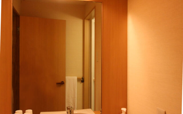 Toyama Manten Hotel