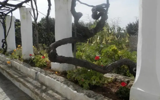 Casolare Muzio B&B