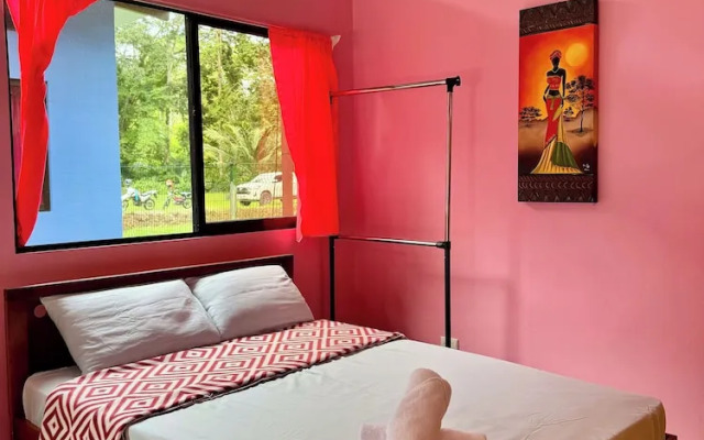 Caribbean Blue Morpho