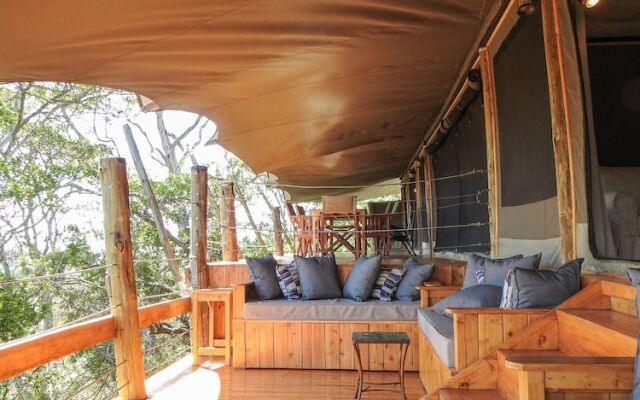 Olesamara Collection