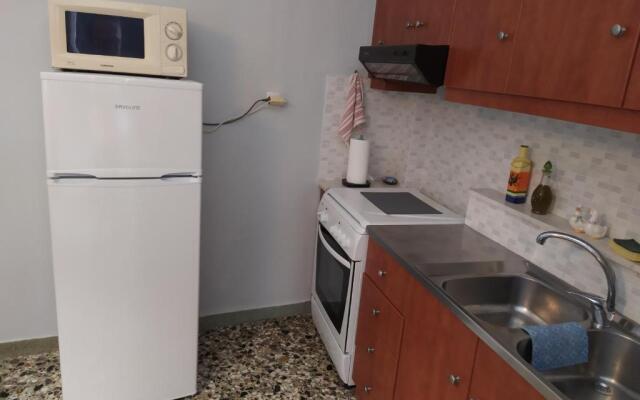Spacious Apartment Archidamoy 114