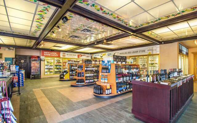 Quality Inn Waddling Dog