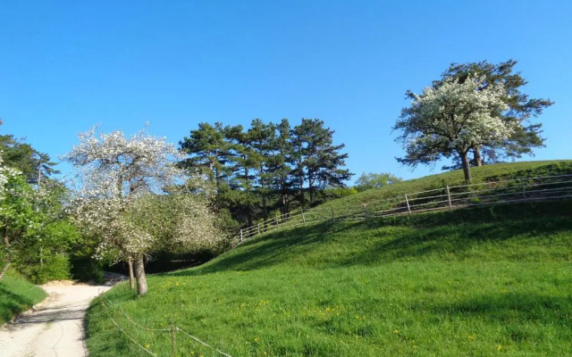 Apartments Himmelreich
