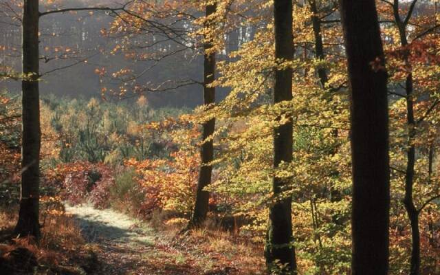 Les Étangs de Guibert