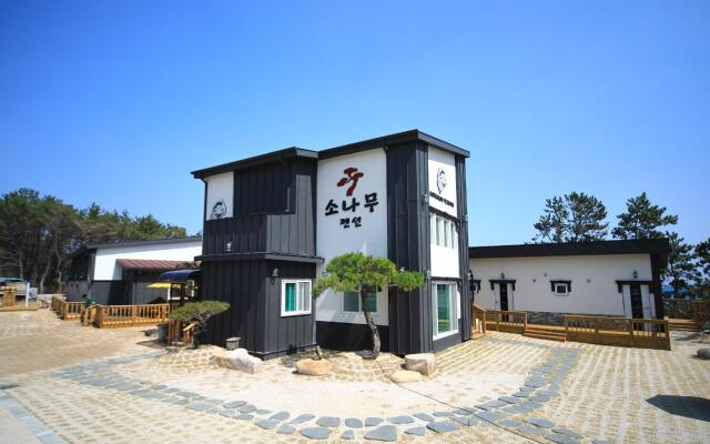 gyeongju gamposonamu pensyeon