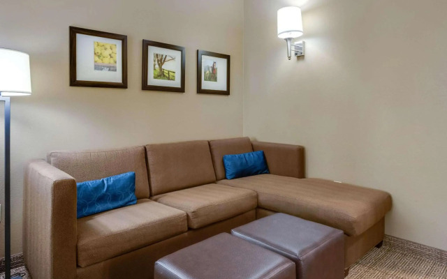 Comfort Suites Hotel and Conference Center
