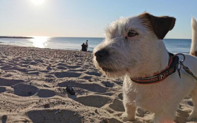 Hostel & Camping Frederiksværk City