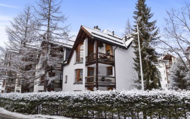 Schweizerhof 501 Mü