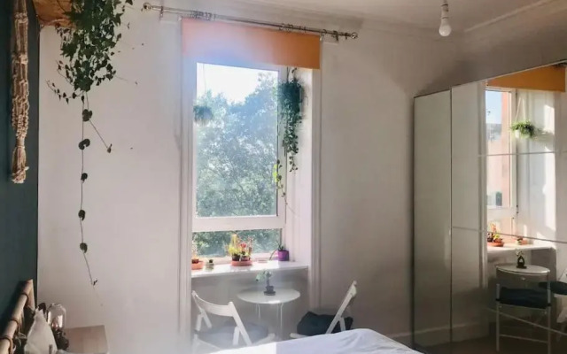 Cosy 2 Bedroom Flat in Edinburgh