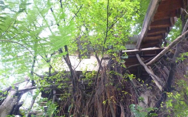 Castle Tree House