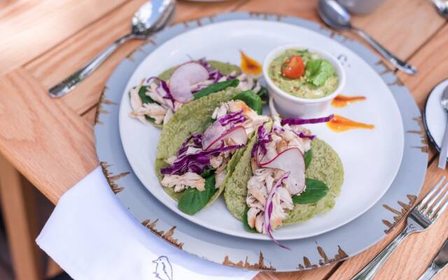 Colonte Hotel Origen