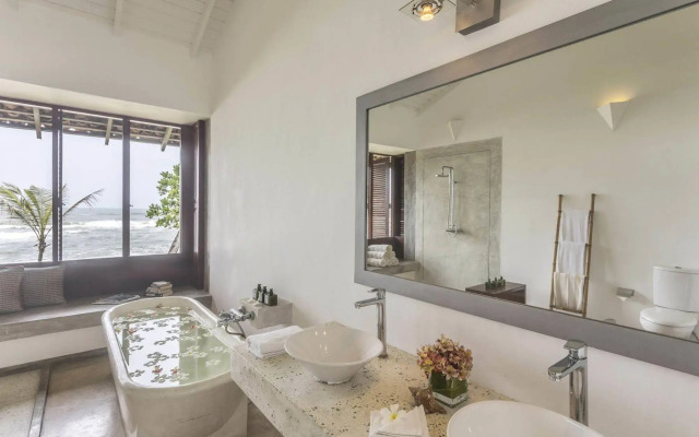 The Frangipani Tree By Edwards Collection