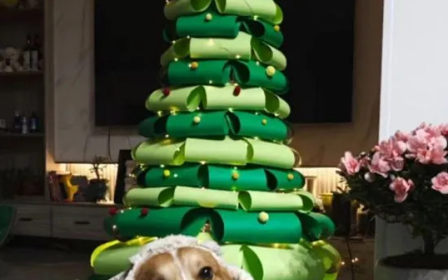 Tonglu Li Family Courtyard Slow Living Homestay