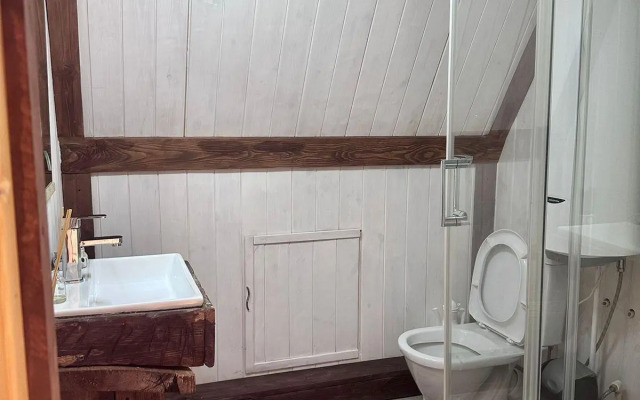 Шале Долина Нарзанов