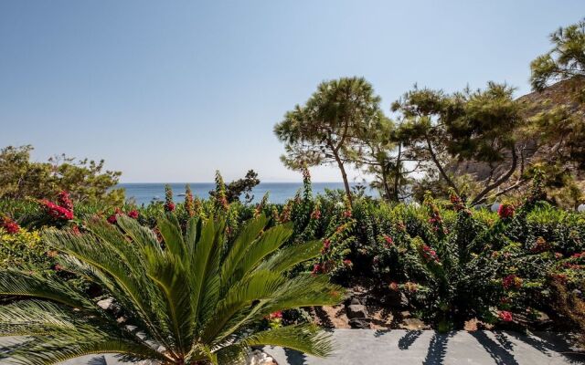 Santorini Mystique Garden