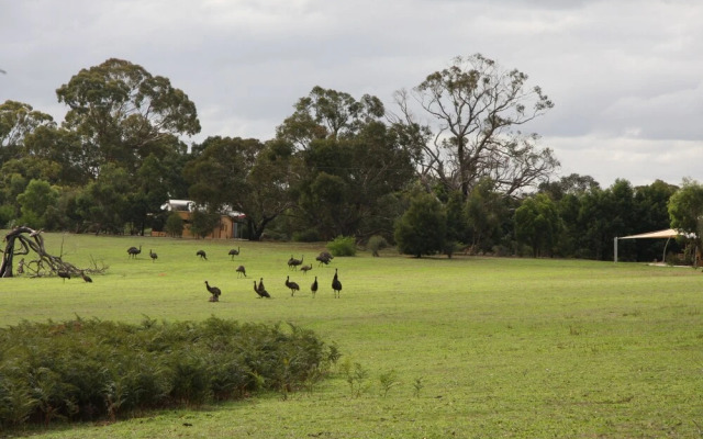 Boroka Downs