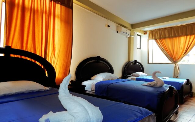 Flightless Cormorant