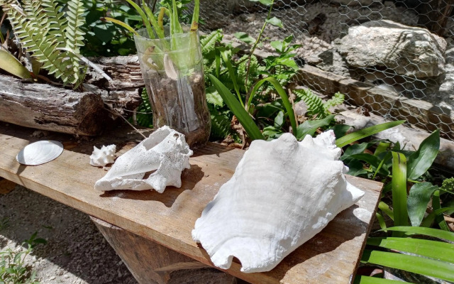 Mi Cuartito en Bacalar