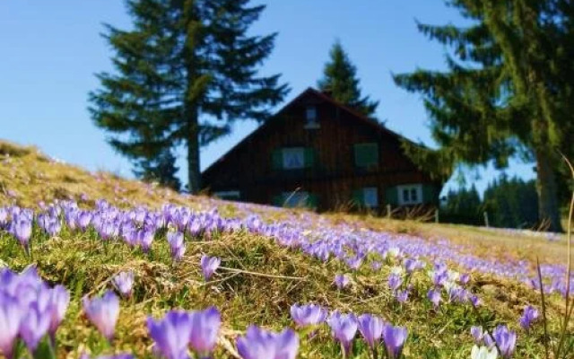 Landhaus-Eibelesmuehle-am-See