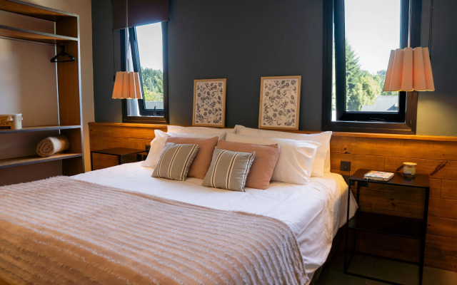 Gluck Patagonia Aparts