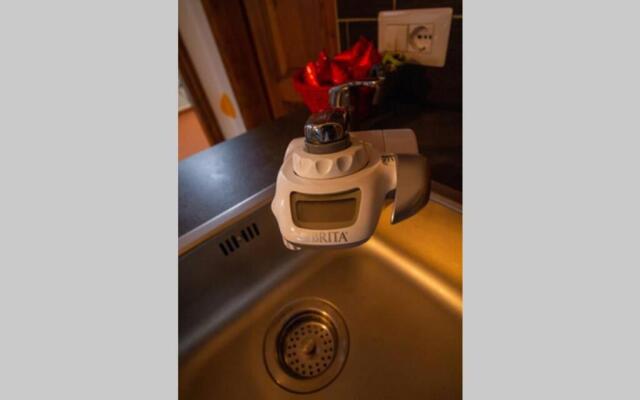 La Buena Vibra - A flat 4 Time Travelers!