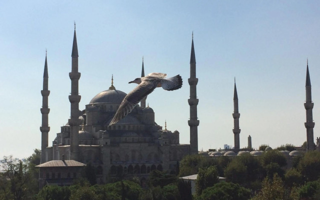 Kalyon Hotel Istanbul