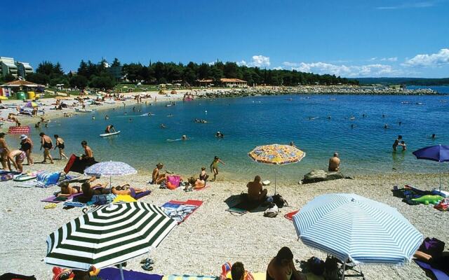Awesome Home in Novigrad With Wifi and 1 Bedrooms