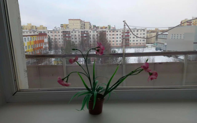 Apartments on Tikhonova street 8
