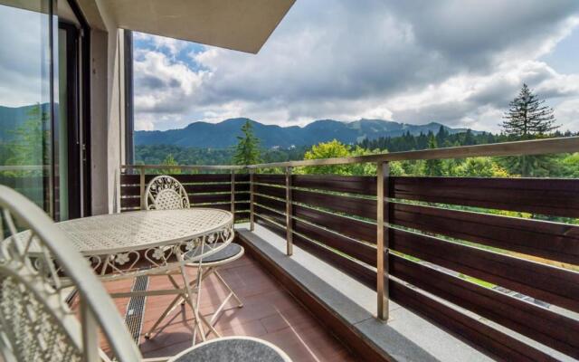 Sarah Deluxe Apartment in SILVER MOUNTAIN